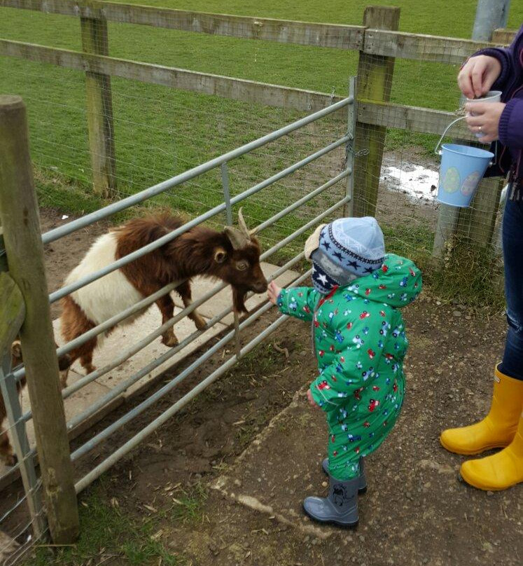 Sapcote旅游攻略图片