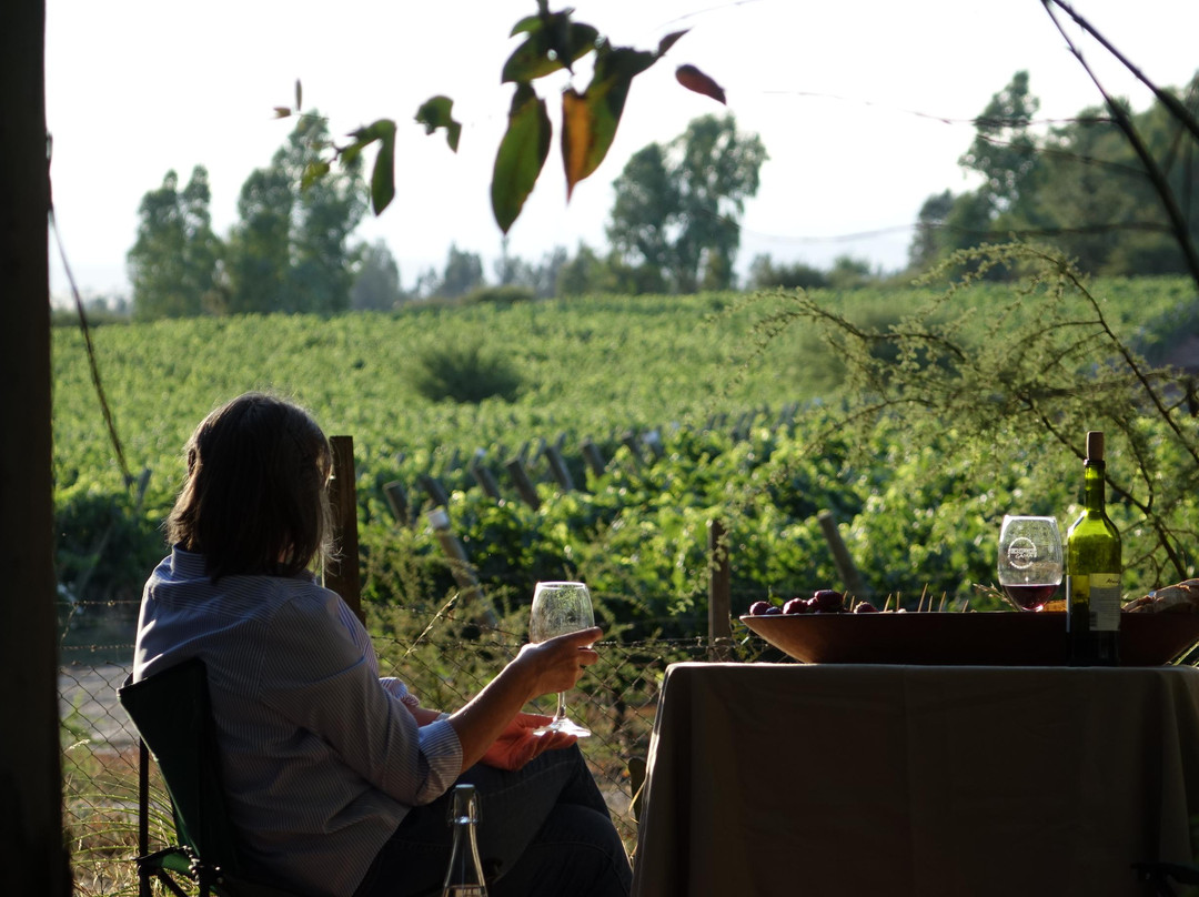 Colchagua Heights-圣克鲁斯必去景点