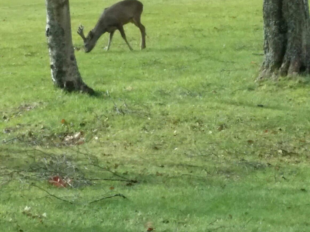The Bishopbriggs Golf Club-格拉斯哥必去景点