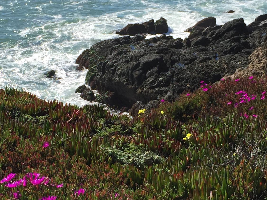 Pelican Point Beach-半月湾必去景点