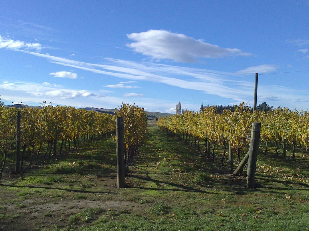 Waipara Valley Walks景点图片