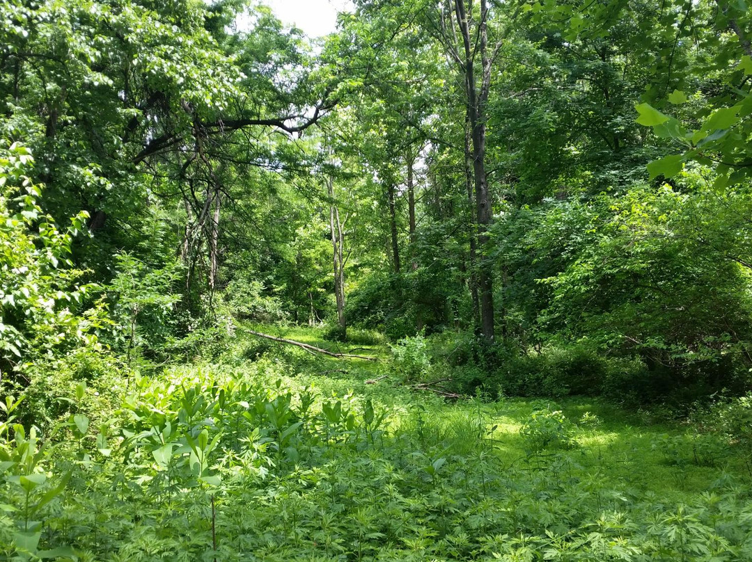 Bowdoin Park-Wappingers Falls必去景点