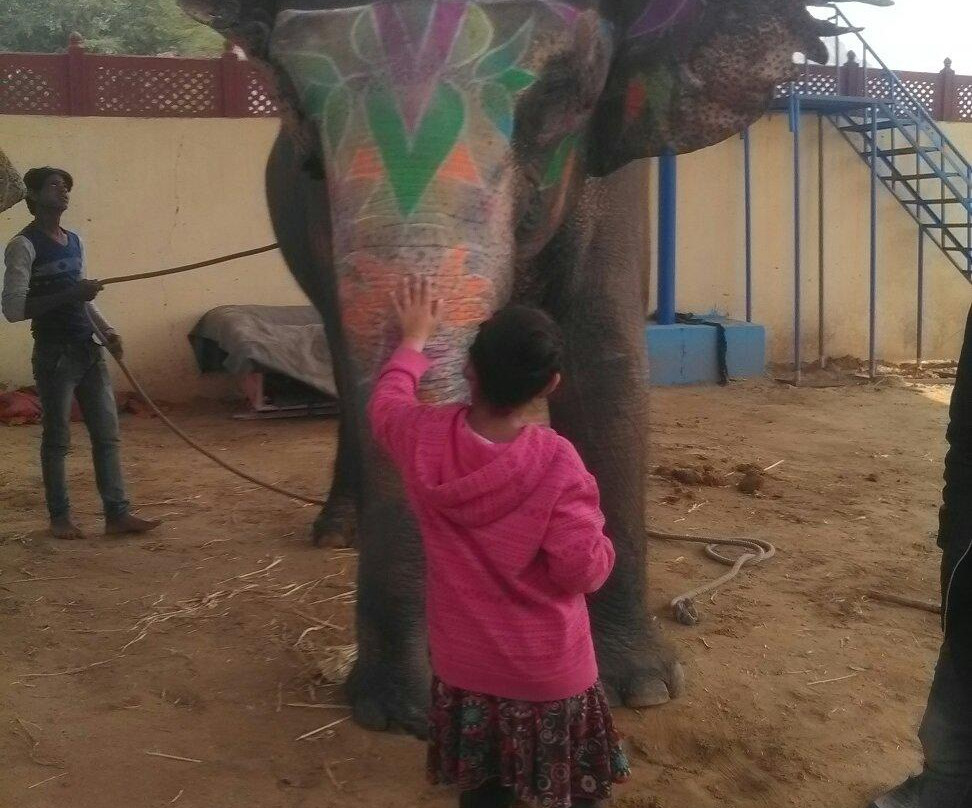 Elephant Activity Planner-斋蒲尔必去景点