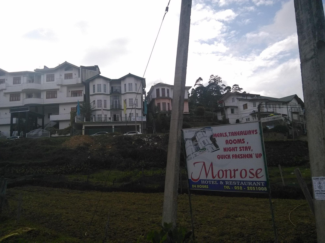 蒙洛赛酒店主图