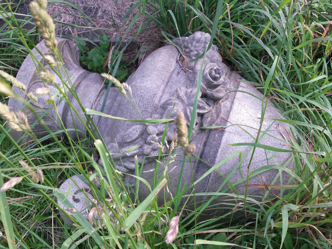Oakwood Cemetery景点图片