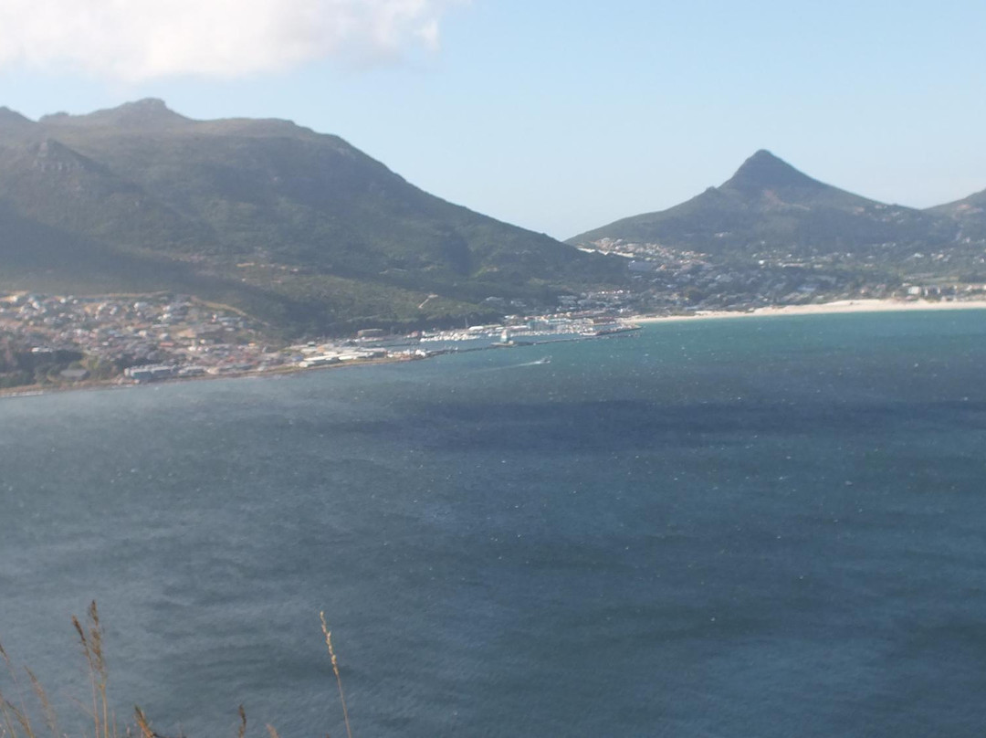 Taste the Cape Travel & Tours - Day Tours-开普敦中心区必去景点