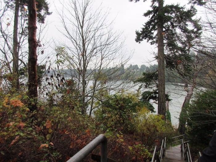 Arbutus Cove Park景点图片