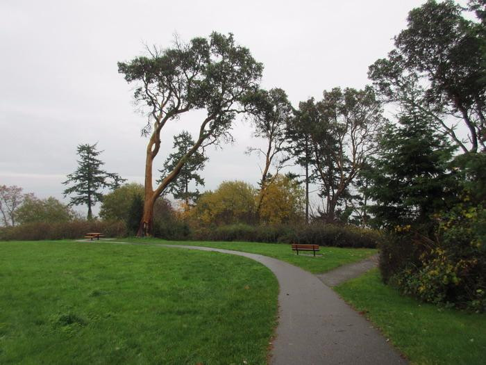 Arbutus Cove Park景点图片