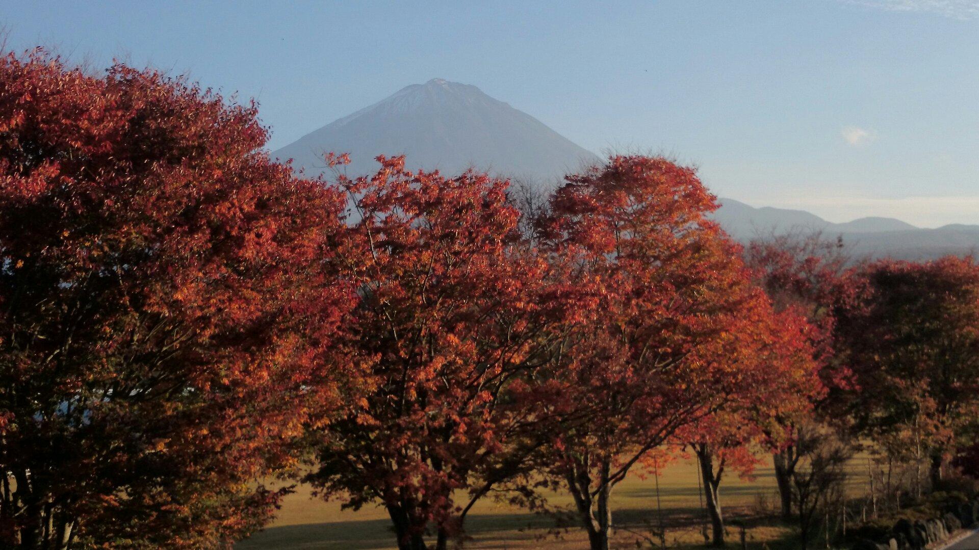 B&B Tomoe Inn-客卧