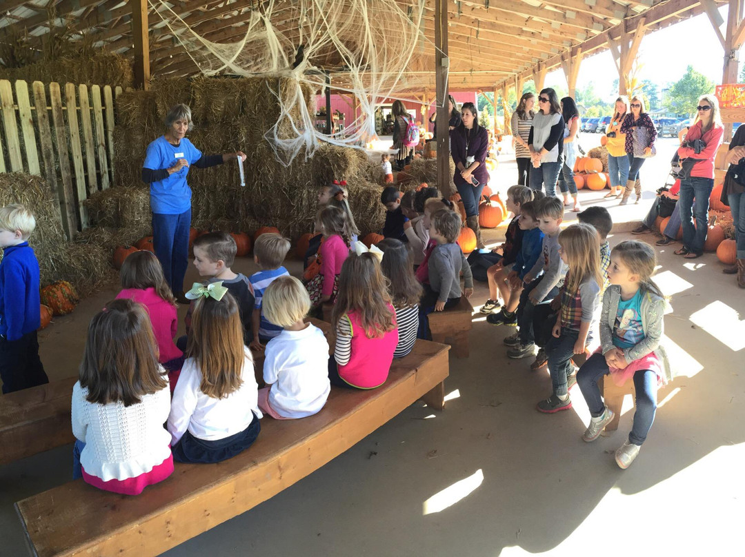 Kinsey Family Farm-盖恩斯维尔必去景点