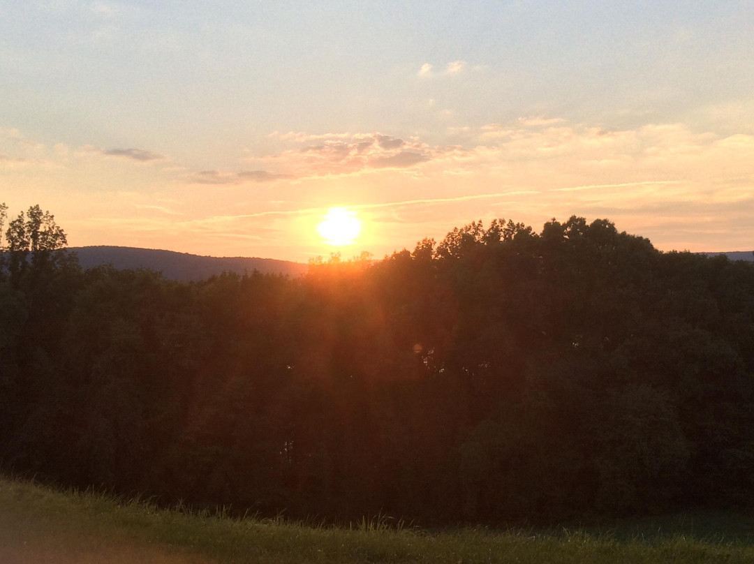 Vanderbilt Mansion National Historic Site-海德公园必去景点