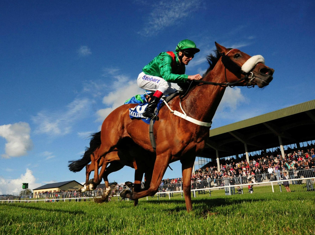 Ballinrobe Races-Ballinrobe必去景点