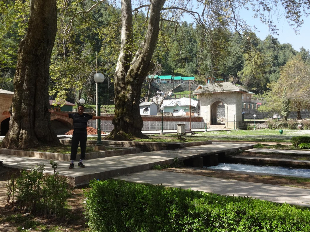 Achabal Garden-斯利那加必去景点