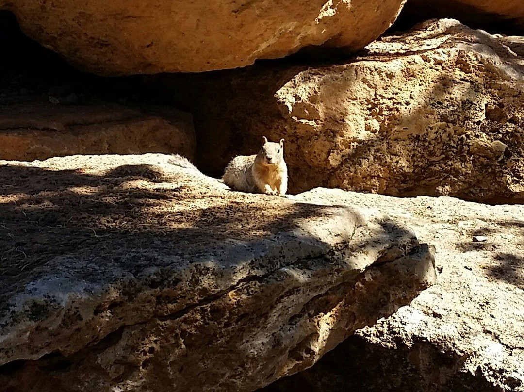南缘游客中心-大峡谷国家公园必去景点
