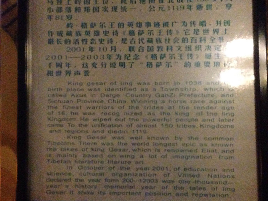 格萨尔大酒店主图