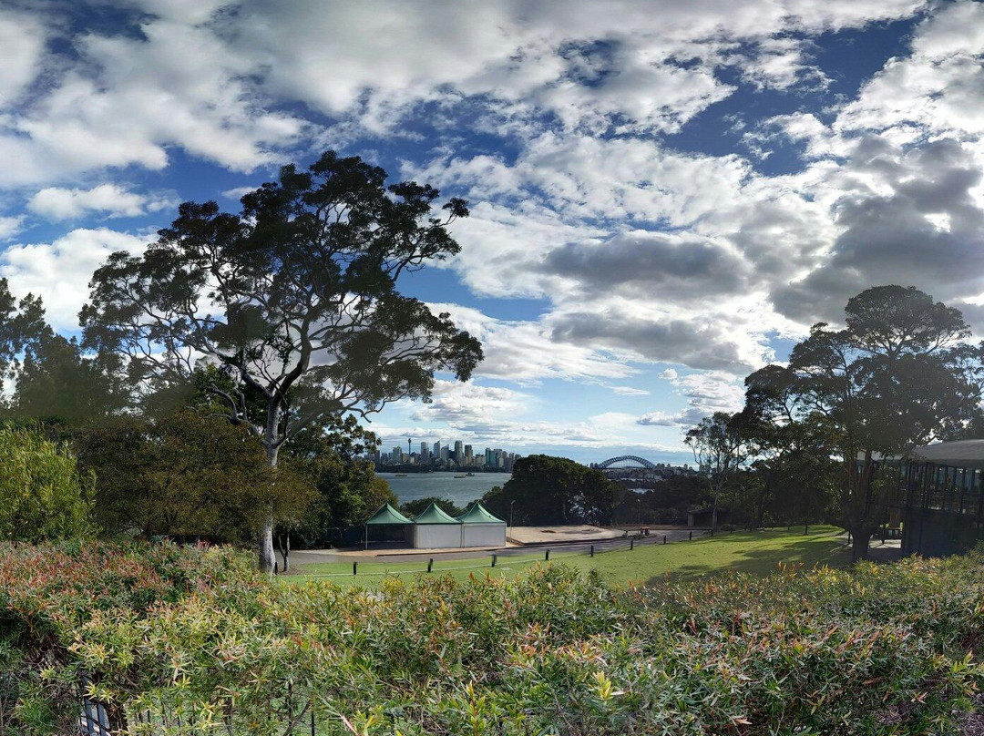 塔隆加动物园到曼利海滩漫步-悉尼必去景点