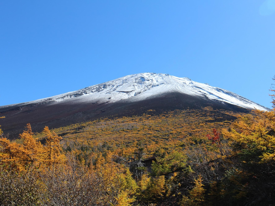 Okuniwa Nature Park景点图片