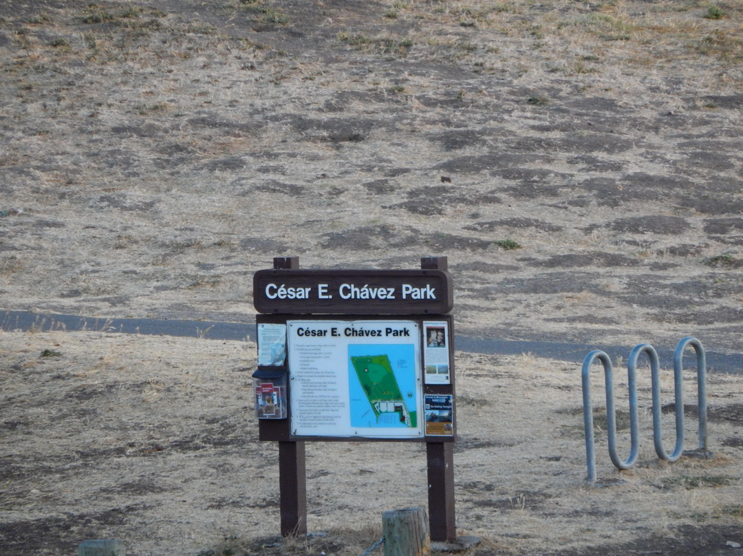 César Chávez Park-伯克利必去景点