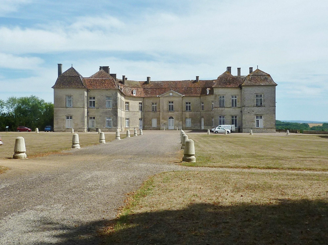 Château de Ray-sur-Saône景点图片