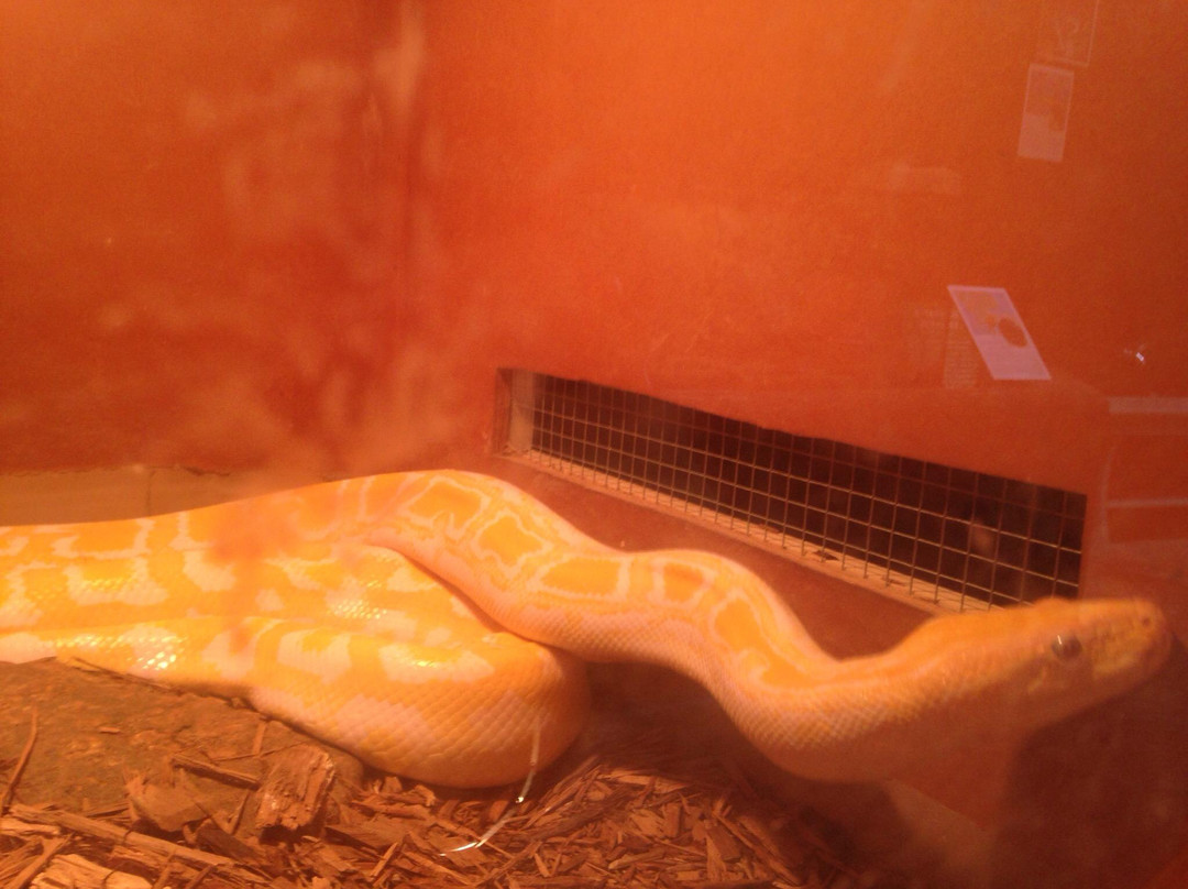 Museum Of Arts And Sciences-梅肯必去景点