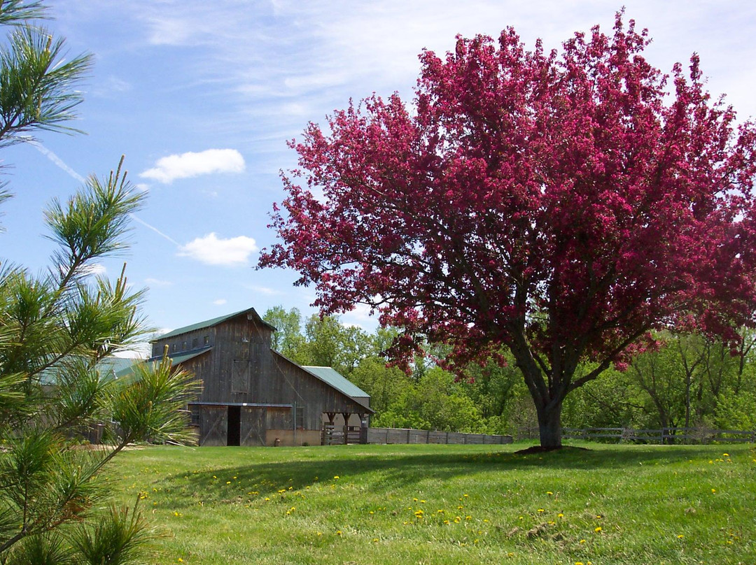 Kickapoo Valley Guest Cabins