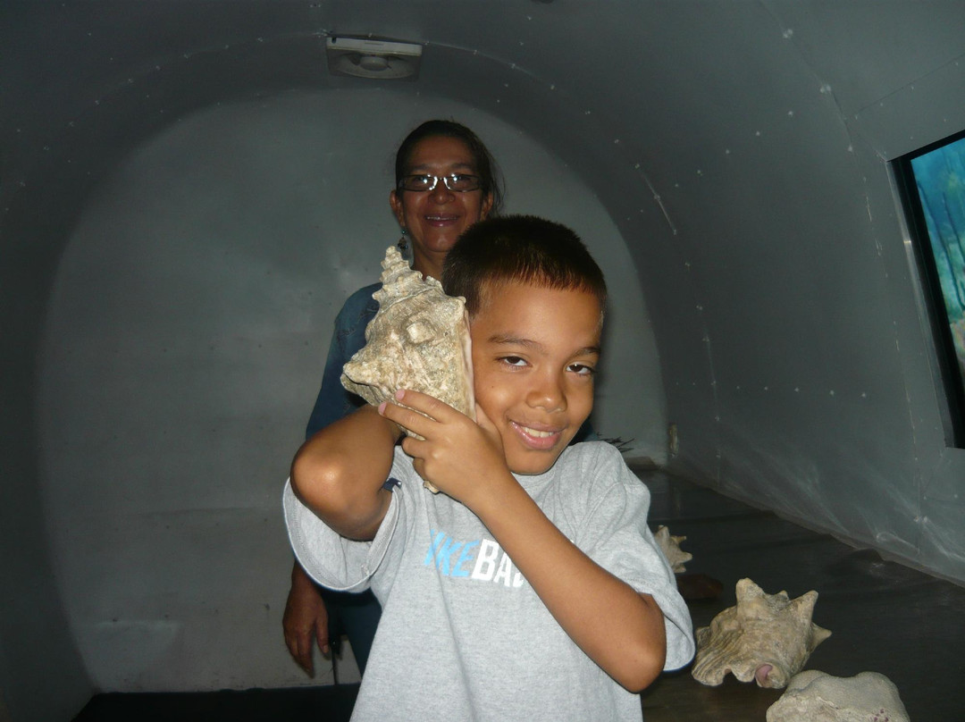 Museo Infantil Trampolín-圣多明哥必去景点