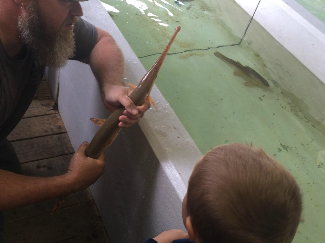 Aquatic Resource Center-Put in Bay必去景点
