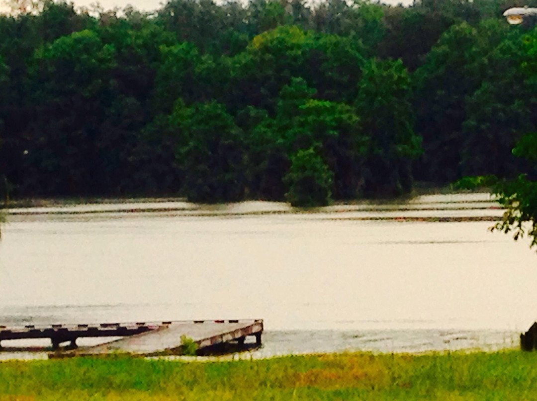 Lake Blackshear Resort Golf Club景点图片