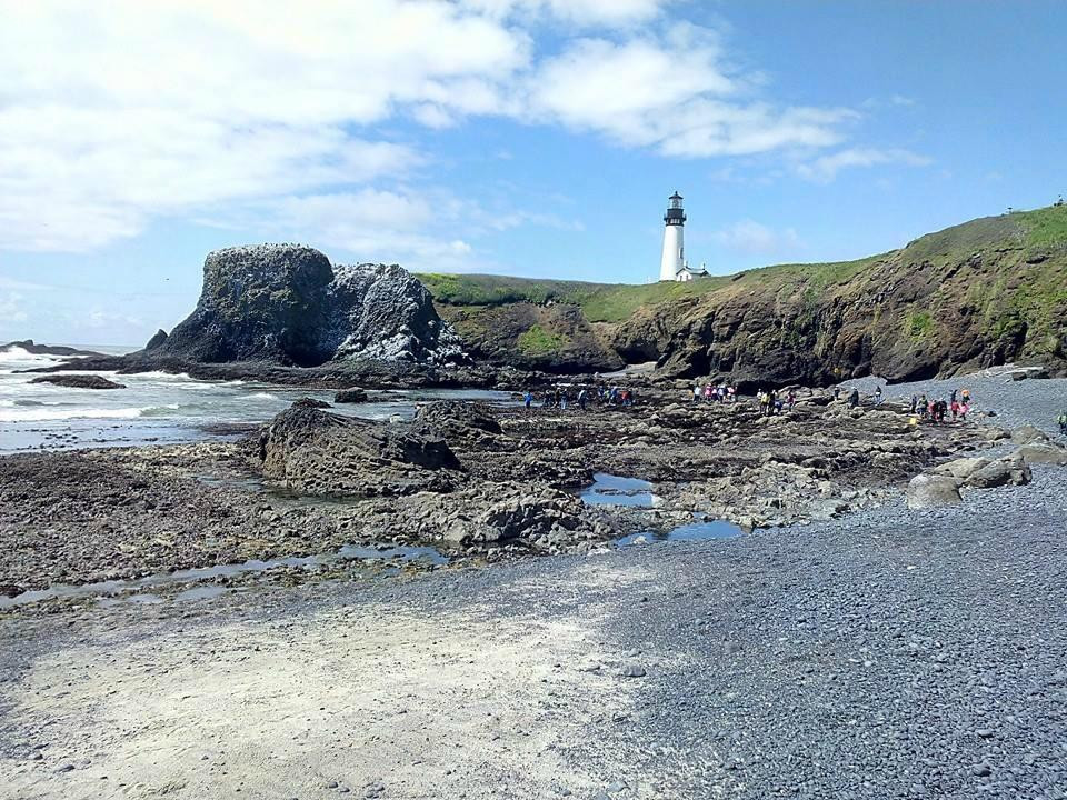 Yaquina Head Outstanding Natural Area-纽波特必去景点