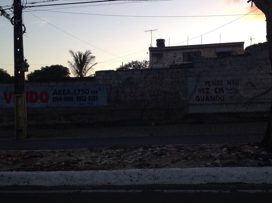 Fonografico Luiz Gonzaga Museum-大坎皮纳必去景点