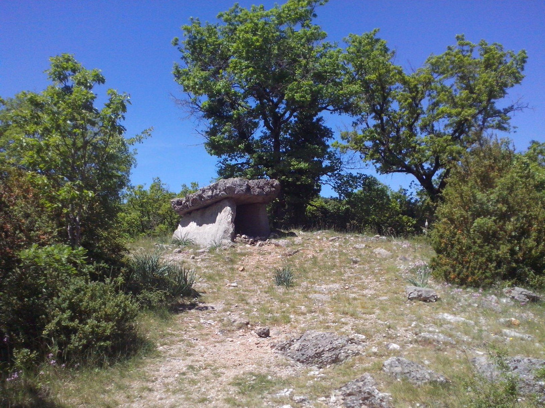 Grand Dolmen du Ferrussac景点图片