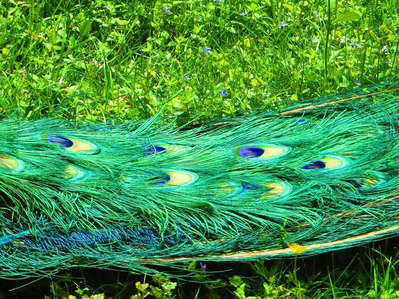 Steinen旅游攻略图片