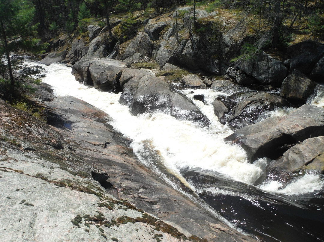 Queen Elizabeth II Wildlands Provincial Park-Kawartha Lakes必去景点