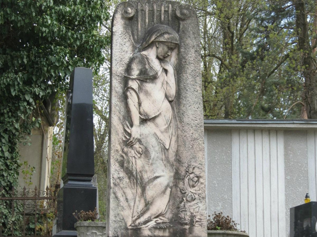 Cimitirul Central景点图片