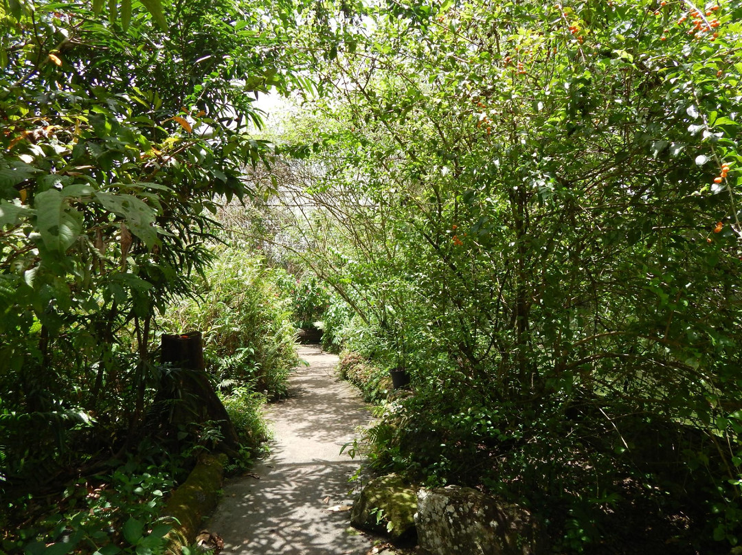 Neotropical Butterfly Park-Lelydorp必去景点