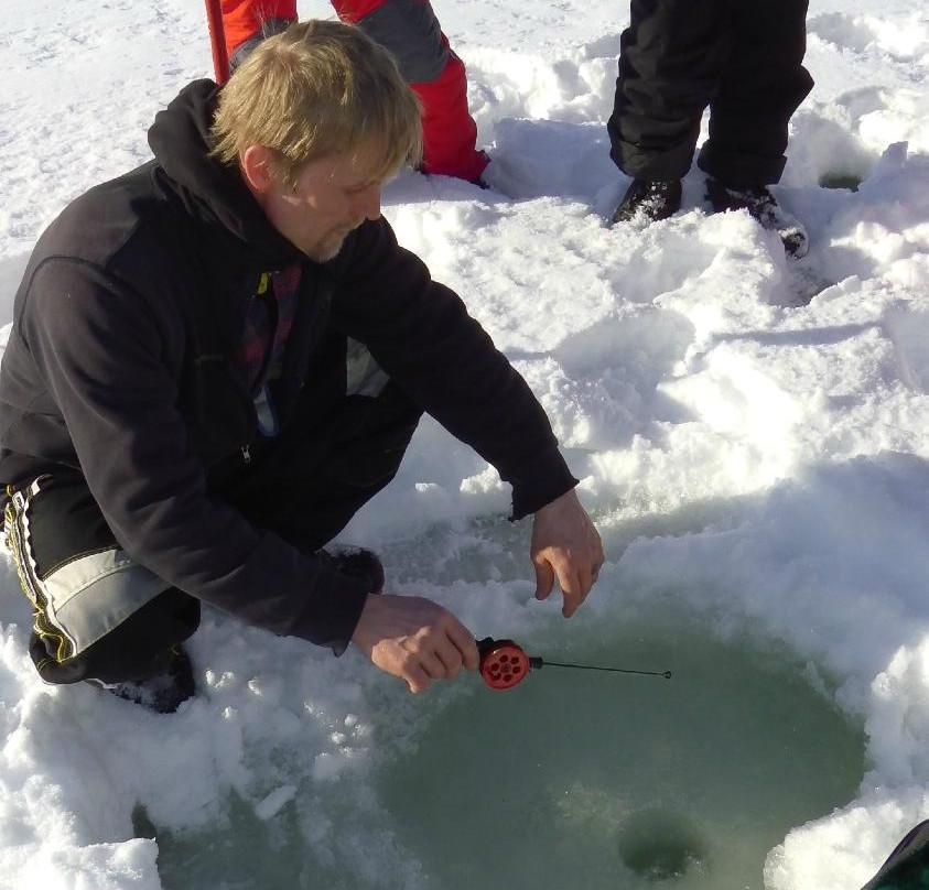 Kuusamo Safaris Day Tours景点图片