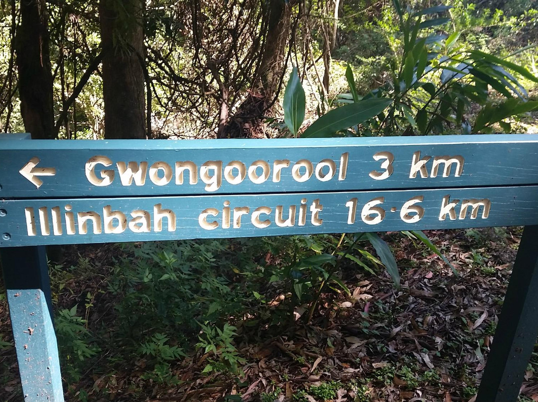Gold Coast Hinterland Great Walk景点图片