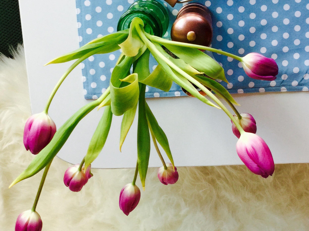 Hotel Hölscher主图