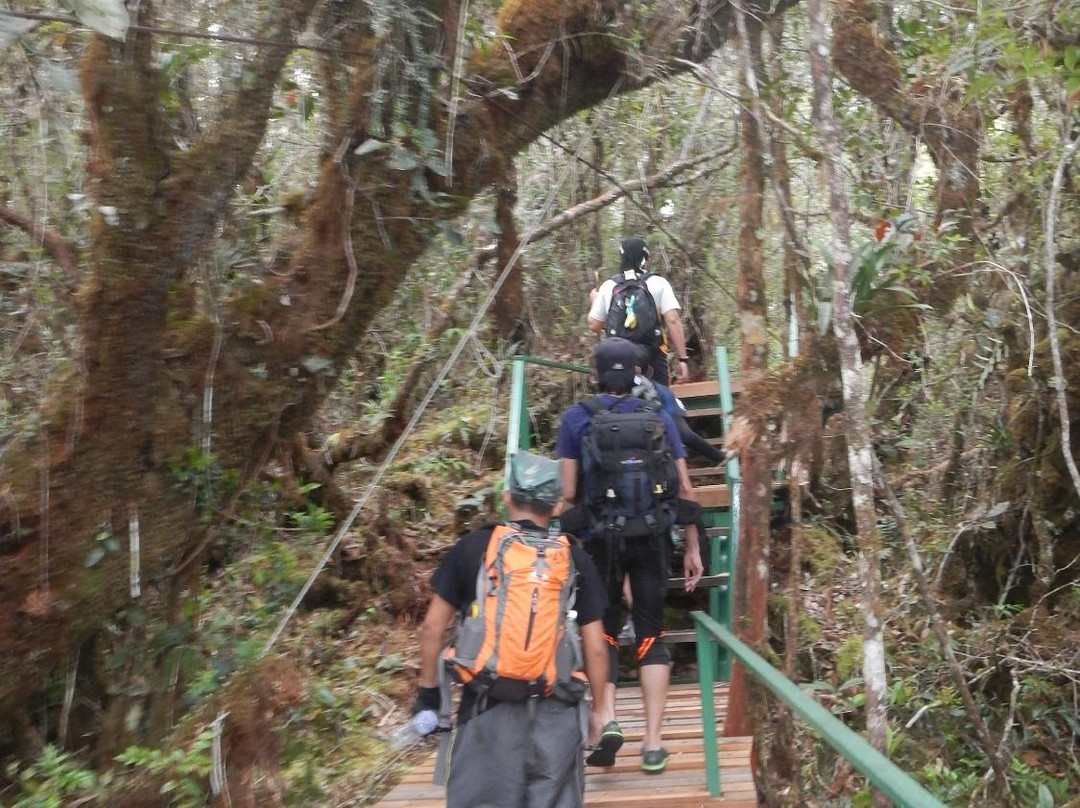 Mt. Trusmadi Apin-apin-根地咬必去景点
