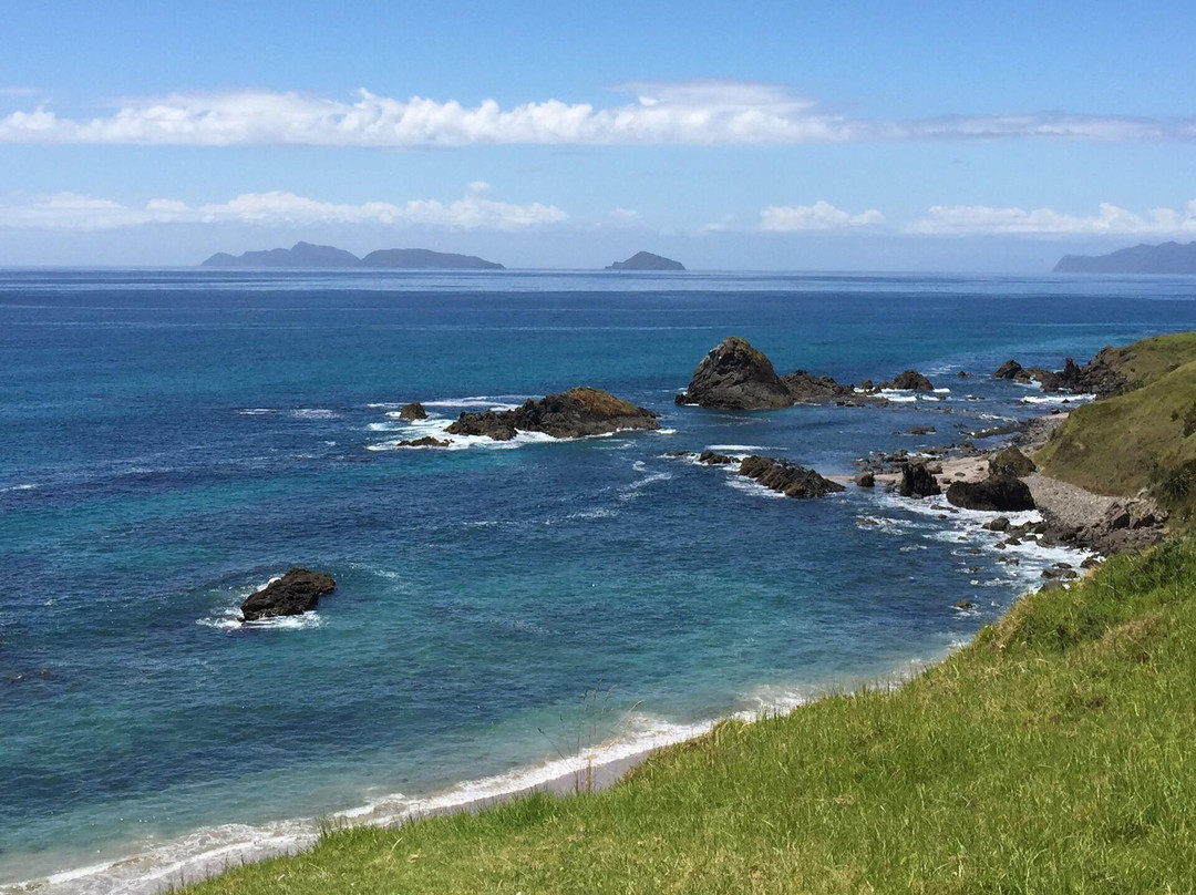 Ocean Beach景点图片