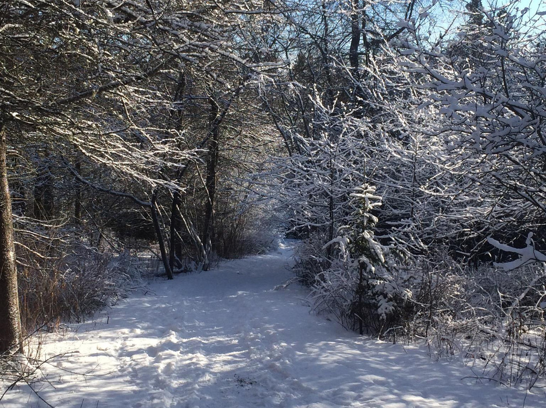 Amherst Point Bird Sanctuary-Amherst必去景点