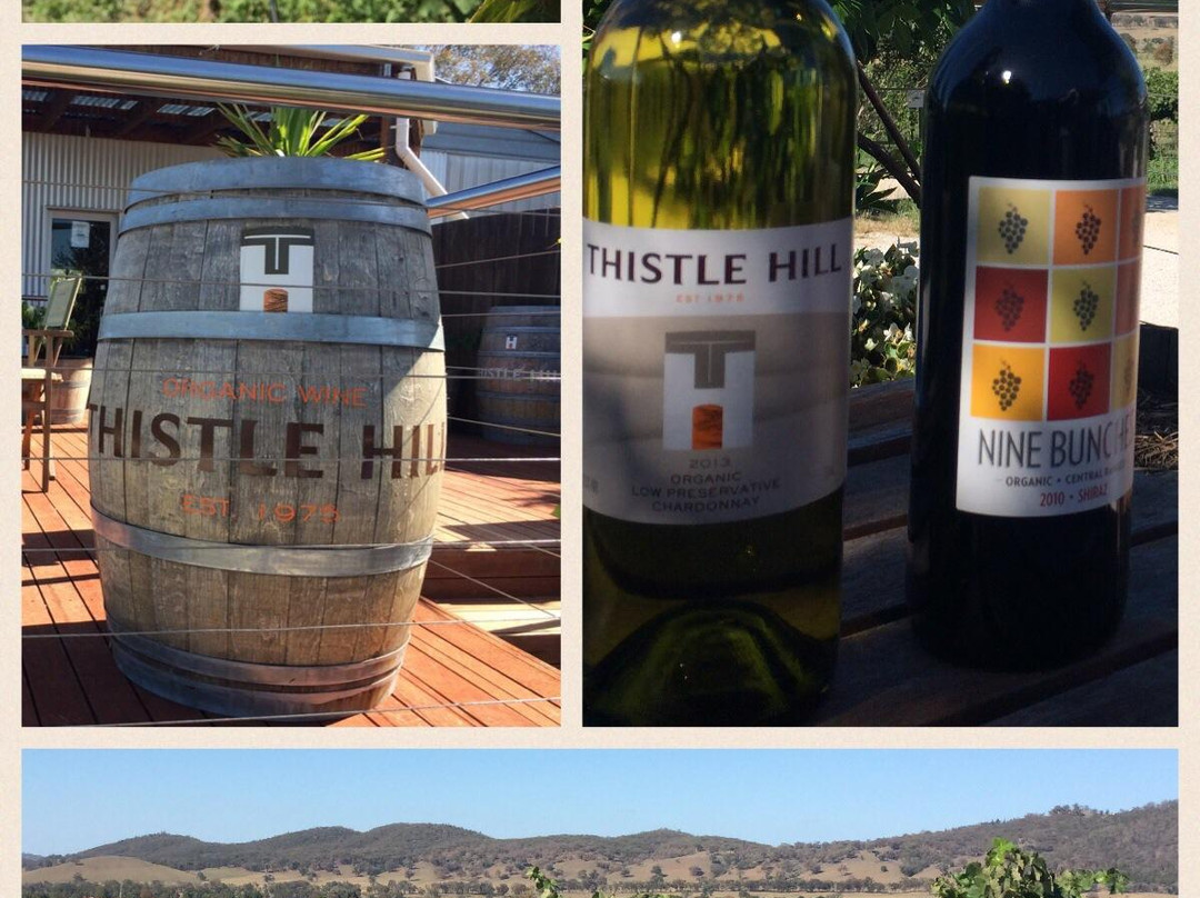 Thistle Hill Organic Winery-马奇必去景点