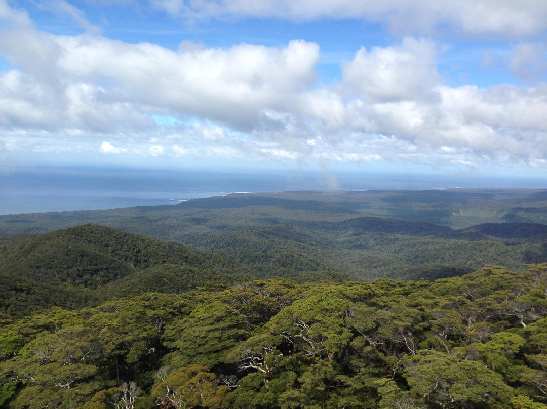 Hump Ridge Track景点图片