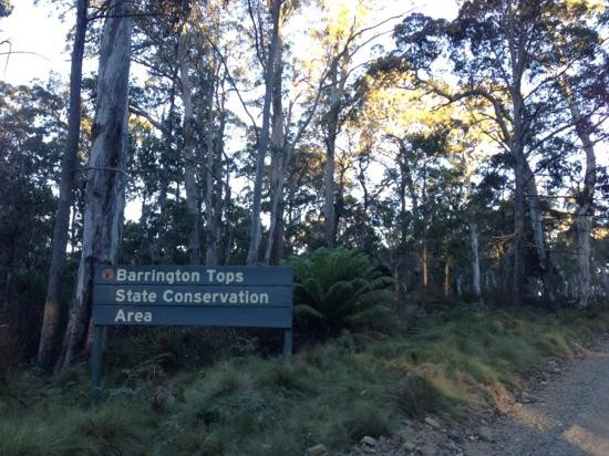 Barrington Tops National Park景点图片