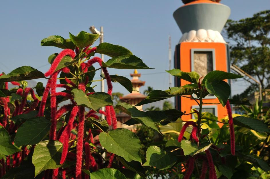 Vijayapur Hill-Dharan必去景点