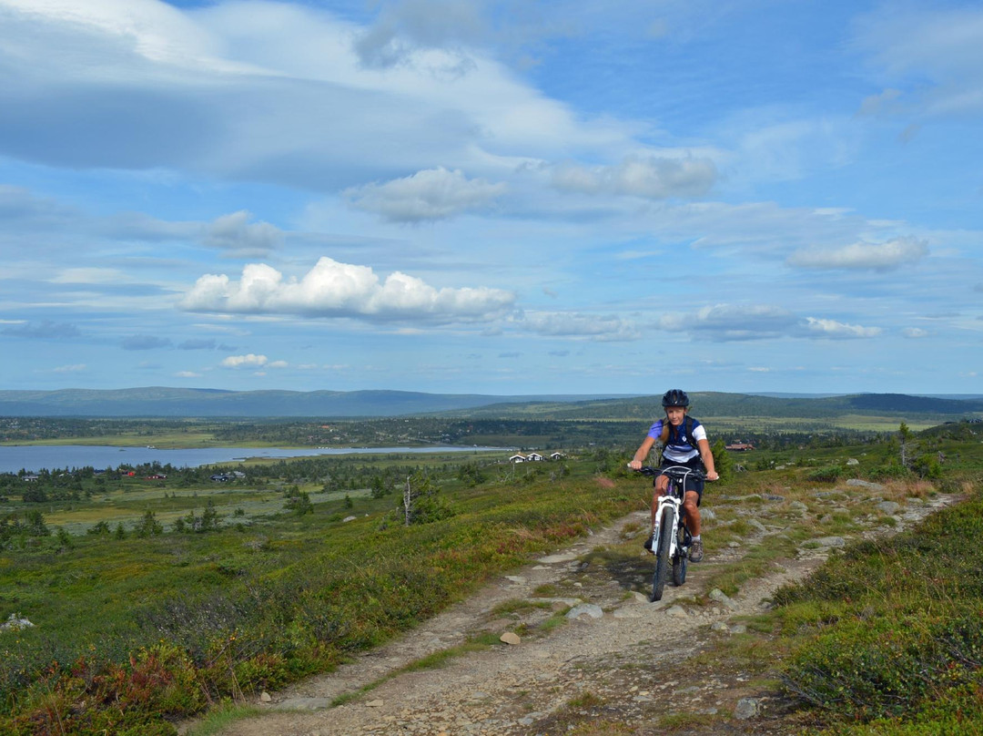 Sjusjoen Ski Center景点图片