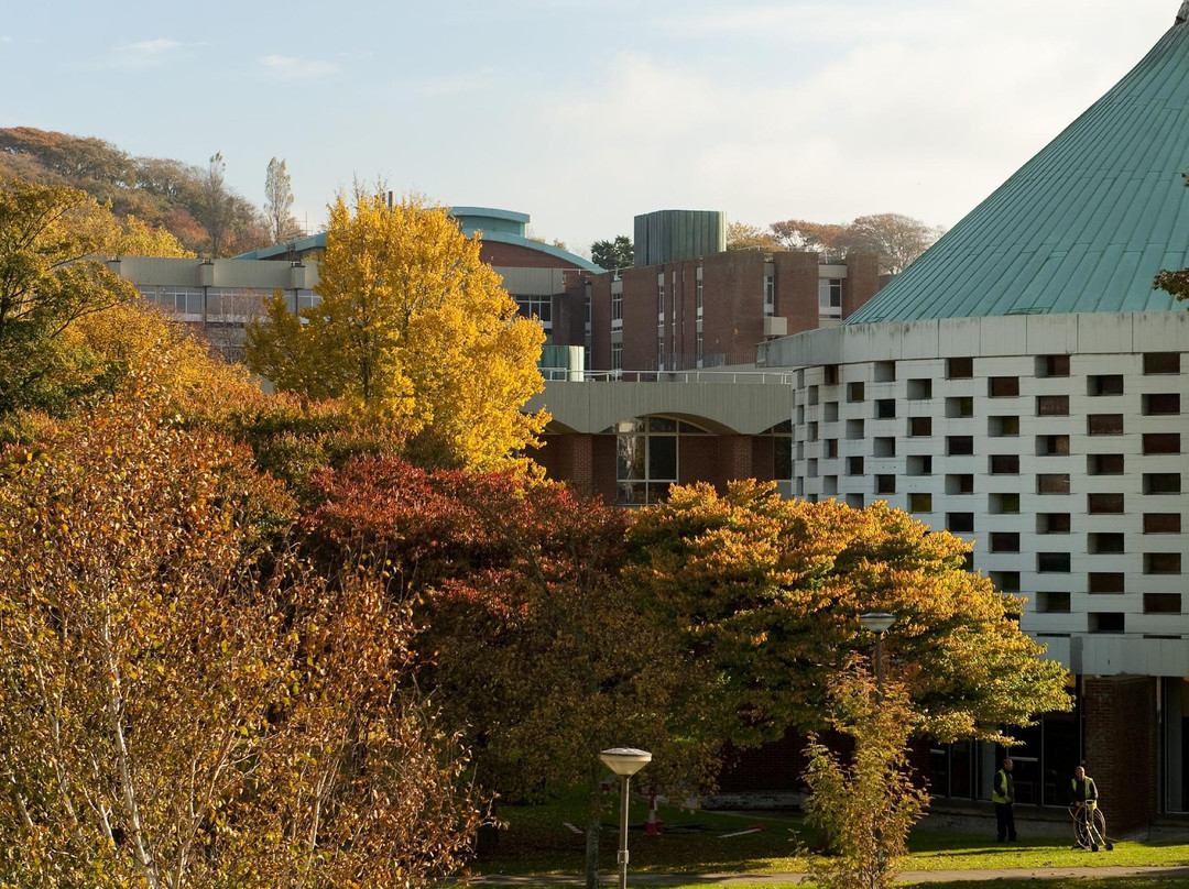 萨塞克斯大学-布莱顿必去景点