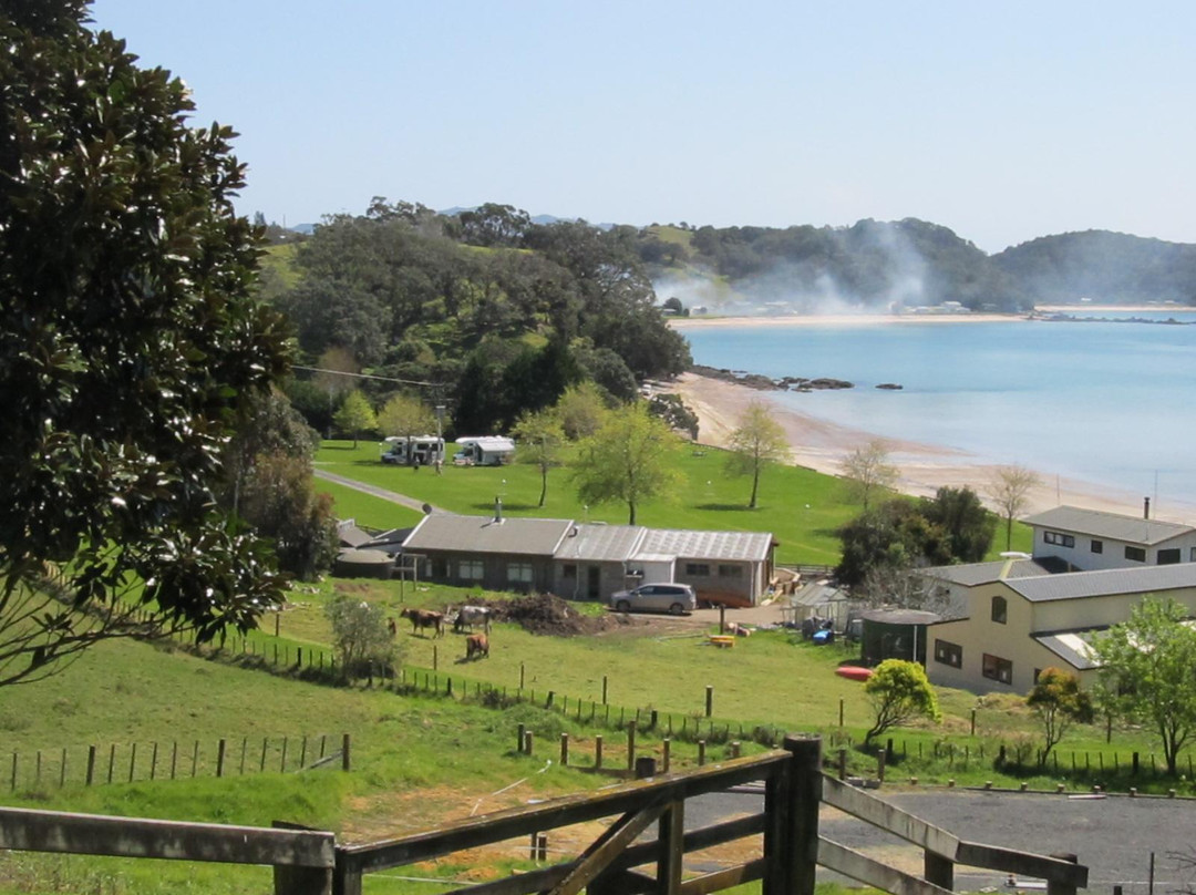Whangaruru Beachfront Camp & Motel