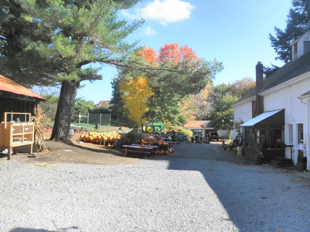 Shelburne Farm景点图片
