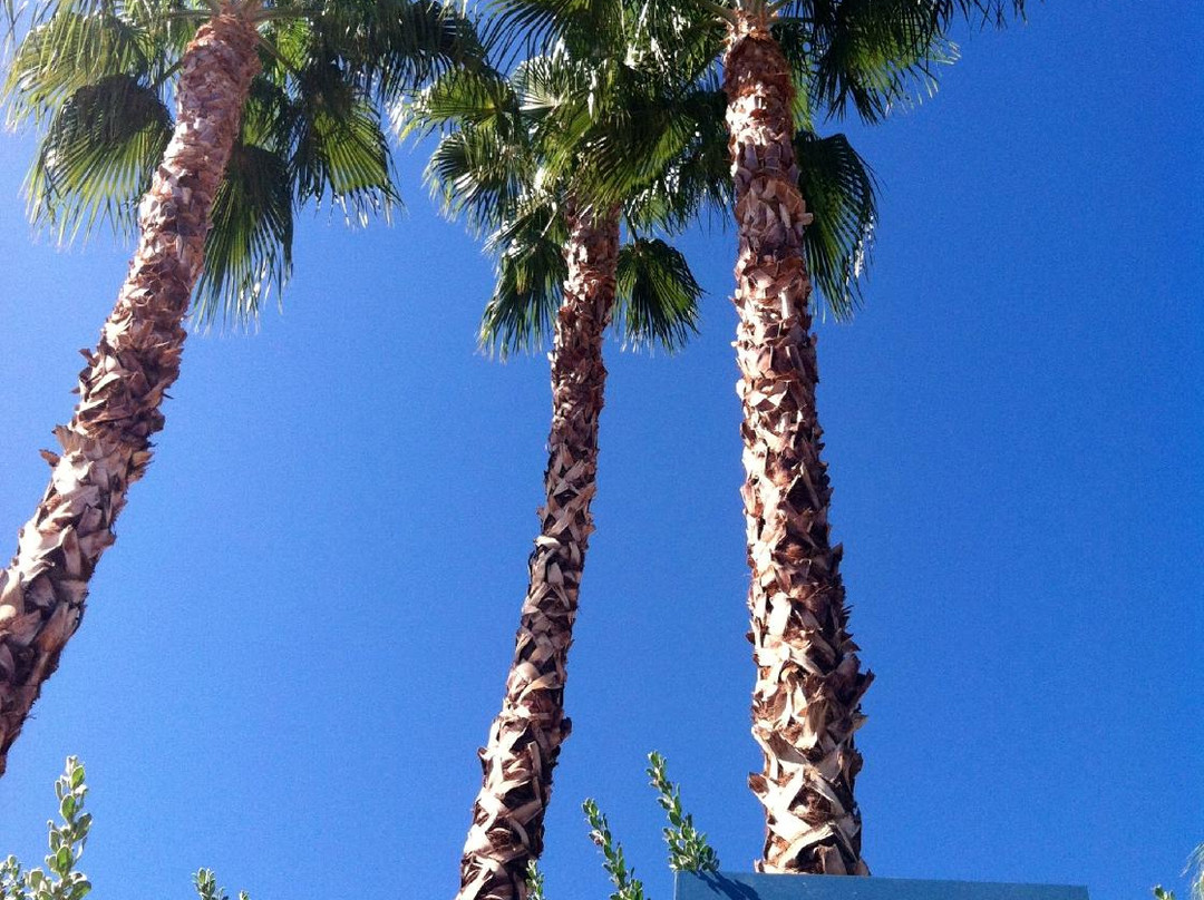 Agua Serena Spa-印第安维尔斯必去景点